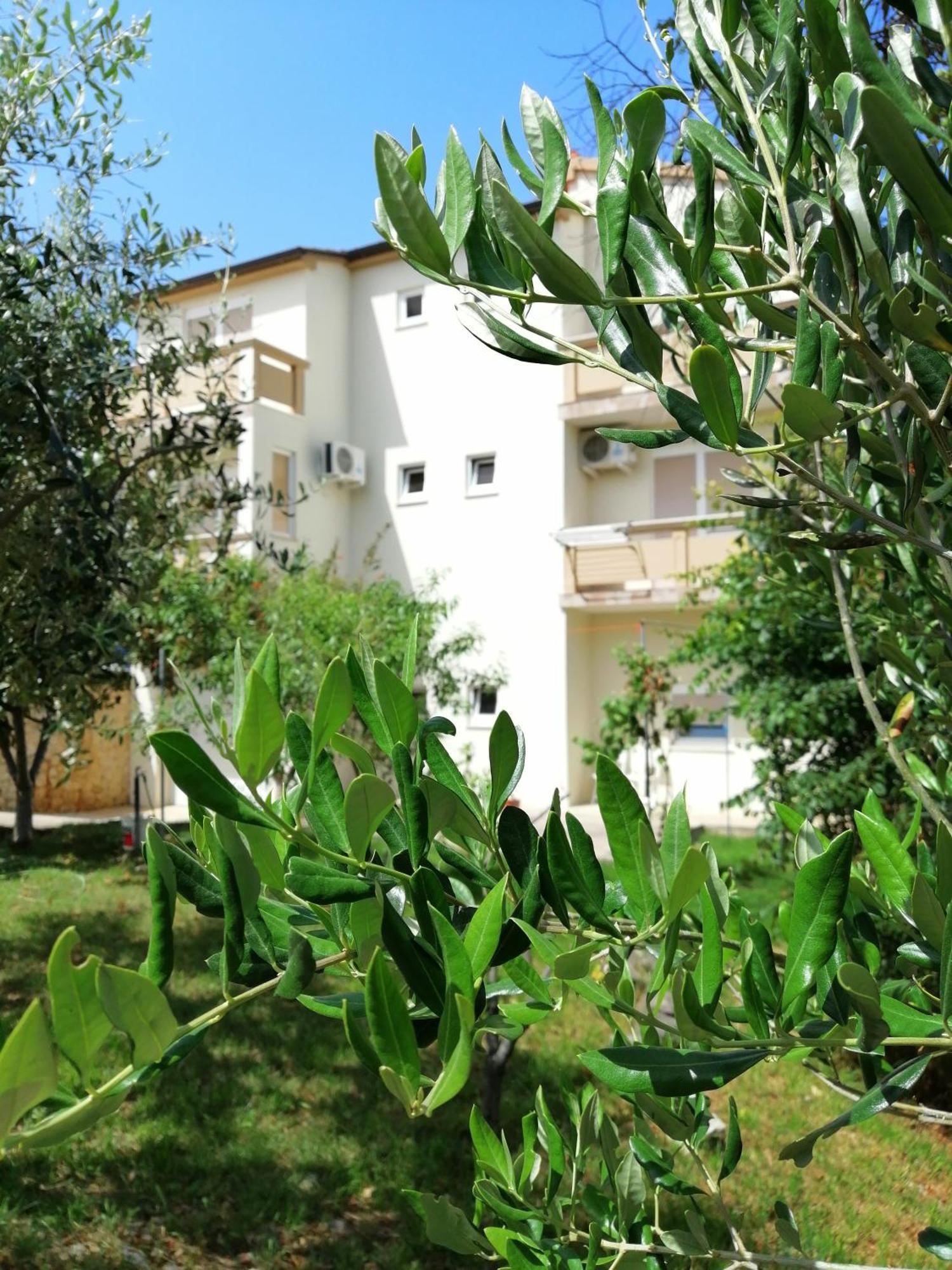 Apartments Monika Nin Εξωτερικό φωτογραφία